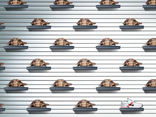 Metaphor: Using a completely unrelated thing or idea to explain a concept. In this case, Nike uses turtles to suggest slowness, implying that every other shoe that isn't Nike is slow.