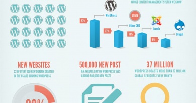 WordPress statistics infographic