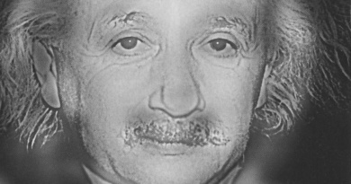 Einstein Monroe Hybrid Image Optical Illusion