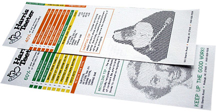 Infographic Receipt