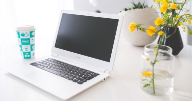 coffee, table, computer, flowers