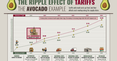 How Tariff Ripple Effects Increase Costs: An Avocado Example