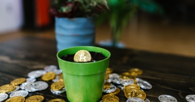 The 10 Best Products to Help Crypto-Investors in 2026 The 10 Best Products to Help Crypto-Investors in 2026
