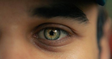How the Brain Processes Visual Information Faster Than Text How the Brain Processes Visual Information Faster Than Text