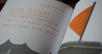 Visual Storytelling for Immigration Narratives