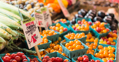 Growing Food For A Living: 3 Best Markets To Attend When It’s Time To Start Selling Growing Food For A Living: 3 Best Markets To Attend When It’s Time To Start Selling