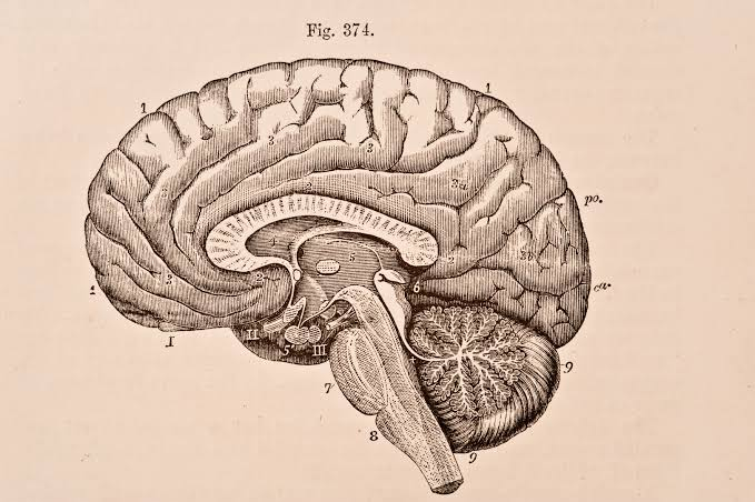 Navigating Head Health: Guidance from Tulsa Traumatic Brain Injury Attorneys Navigating Head Health: Guidance from Tulsa Traumatic Brain Injury Attorneys