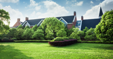 6 Landscaping Choices That Can Help Keep Pests Away From Your Home 6 Landscaping Choices That Can Help Keep Pests Away From Your Home